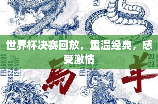世界杯决赛回放，重温经典，感受激情