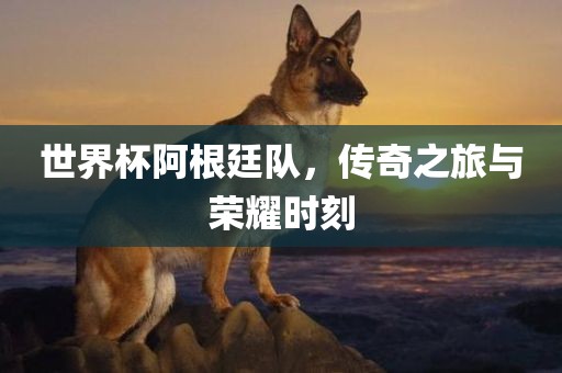 世界杯阿根廷队，传奇之旅与荣耀时刻