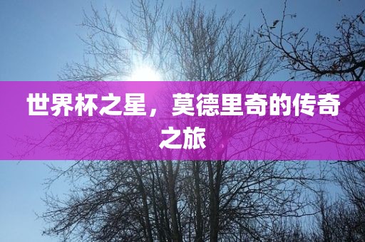世界杯之星，莫德里奇的传奇之旅