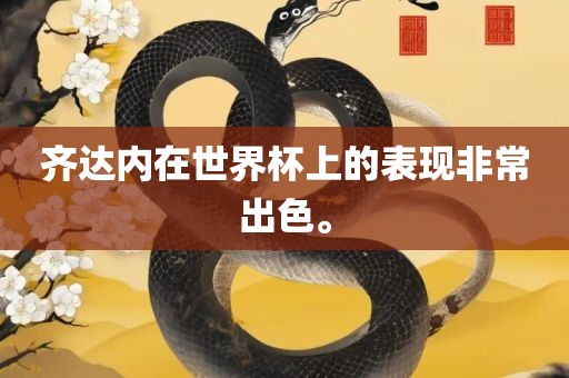 齐达内在世界杯上的表现非常出色。