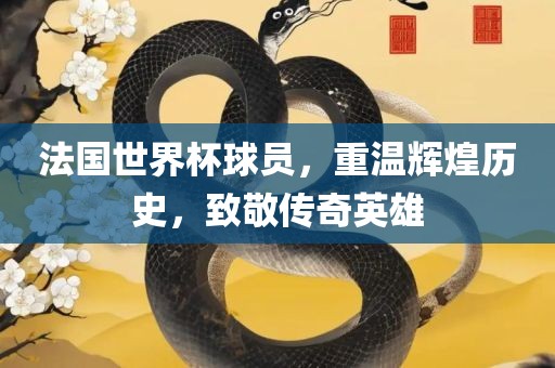 法国世界杯球员，重温辉煌历史，致敬传奇英雄