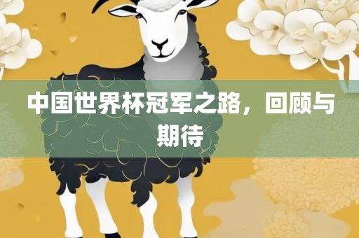 中国世界杯冠军之路，回顾与期待洛阳市法福文化传播有限公司