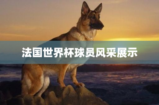 法国世界杯球员风采展示