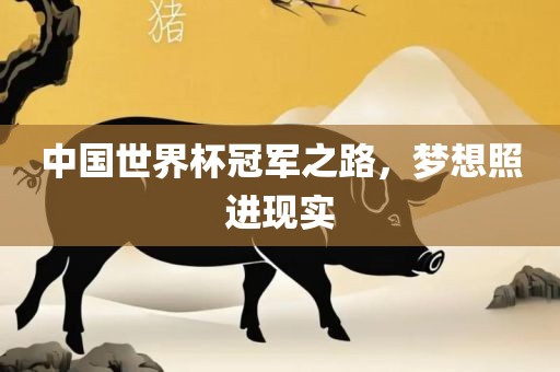 中国世界杯冠军之路，梦想照进现实