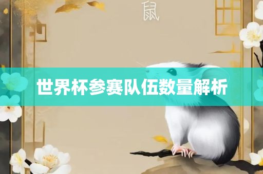 世界杯参赛队伍数量