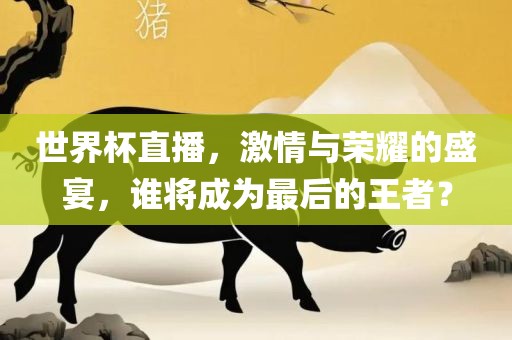 世界杯直播，激情与荣耀的盛宴，谁将成为最后的王者？