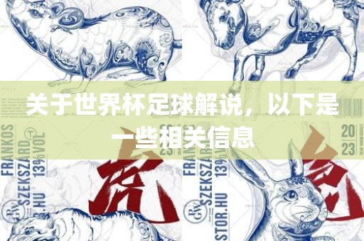 关于世界杯足球解说，以下是一些相关信息