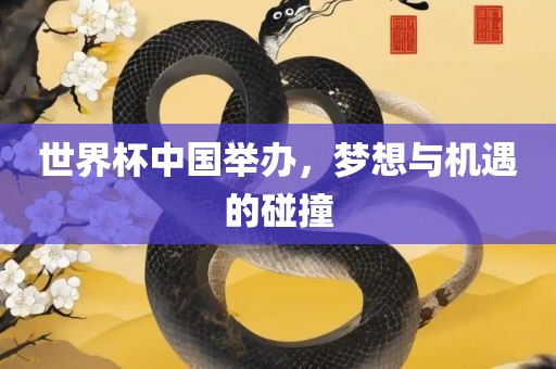 世界杯中国举办，梦想与机遇的碰撞