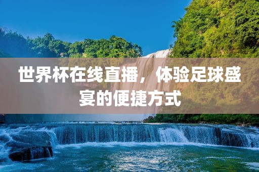 世界杯在线直播，体验足球盛宴的便捷方式