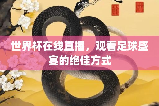 世界杯在线直播，观看足球盛宴的绝佳方式