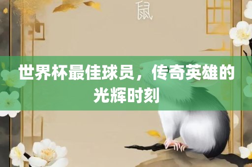 世界杯最佳球员，传奇英雄的光辉时刻