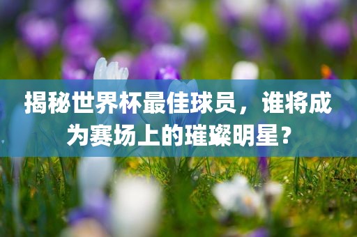 揭秘世界杯最佳球员，谁将成为赛场上的璀璨明星？