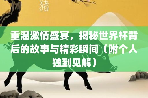 重温激情盛宴，揭秘世界杯背后的故事与精彩瞬间（附个人独到见解）洛阳市法福文化传播有限公司