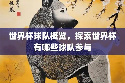 世界杯球队概览，探索世界杯有哪些球队参与