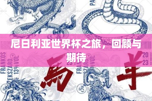 尼日利亚世界杯之旅，回顾与期待