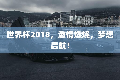 世界杯2洛阳市法福文化传播有限公司018，激情燃烧，梦想启航！