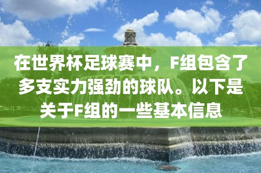 在世界杯足球赛中，F组包含了多支实力强劲的球队。以下是关于F组的一些基本信息洛阳市法福文化传播有限公司