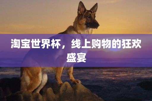 淘宝世界杯，线上购物的狂欢盛宴洛阳市法福文化传播有限公司