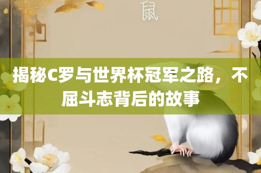 揭秘C罗与世界杯冠军之路，不屈斗志背后的故事