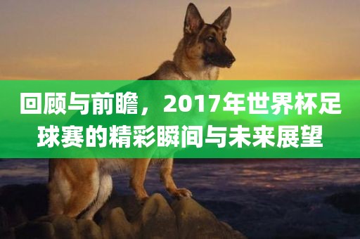 回顾与前瞻，2017年世界杯足球赛的精彩瞬间与未来展望洛阳市法福文化传播有限公司