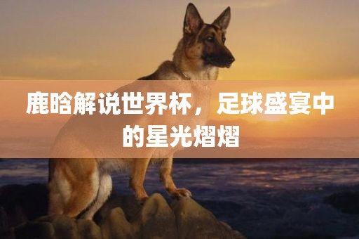 鹿晗解说世界杯，足球盛宴中的星光熠熠洛阳市法福文化传播有限公司