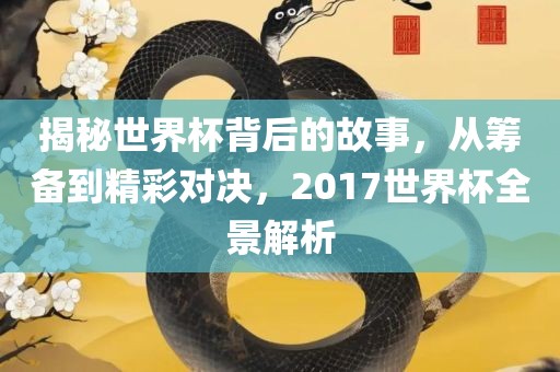 揭秘世界杯背后的故事，从筹备到精彩对决，2017世界杯全景解析