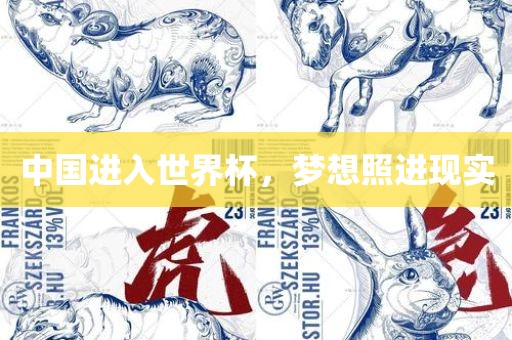 中国进入世界杯，梦想照进现实