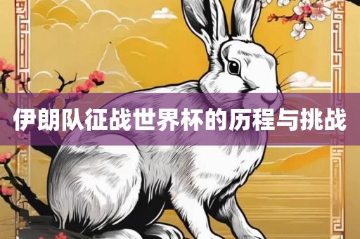 伊朗队征战世界杯的历程与挑战洛阳市法福文化传播有限公司