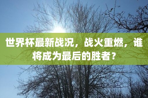 世界杯最新战况，战火重燃，谁将成为最后的胜者？洛阳市法福文化传播有限公司