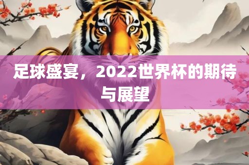 足球盛宴，2022世界杯的期待与展望