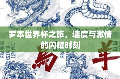 罗本世界杯之旅，速度与激情的闪耀时刻