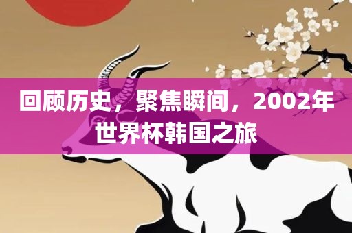 回顾历史，聚焦瞬间，2002年世界杯韩国之旅洛阳市法福文化传播有限公司