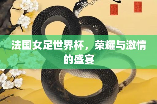 法国女足世界杯，荣耀与激情的盛宴