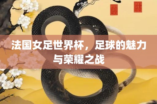 法国女足世界杯，足球的魅力与荣耀之战