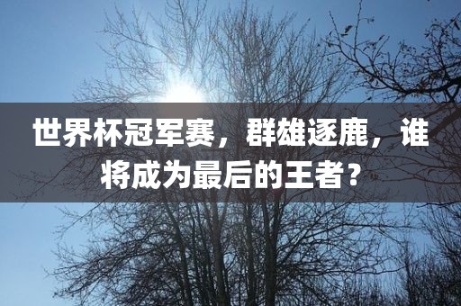 世界杯冠军赛，群雄逐鹿，谁将成为最后的王者？