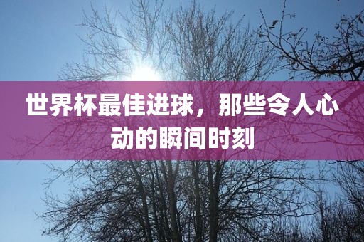 世界杯最佳进球，那些令人心动的瞬间时刻