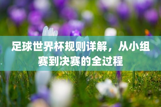足球世界杯规则详解，从小组赛到决赛的全过程
