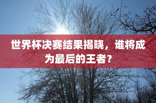 世界杯决赛结果揭晓，谁将成为最后的王者？
