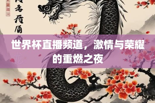 世界杯直播频道，激情与荣耀的重燃之夜
