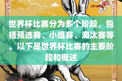 世界杯比赛分为多个阶段，包括预选赛、小组赛、淘汰赛等。以下是世界杯比赛的主要阶段和概述