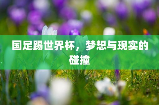 国足踢世界杯，梦想与现实的碰撞