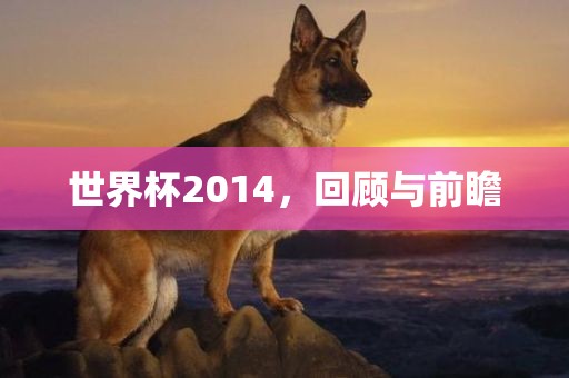 世界杯2014，回顾与前瞻