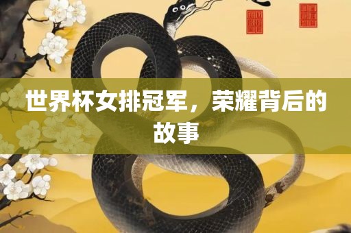 世界杯女排冠军，荣耀背后的故事洛阳市法福文化传播有限公司