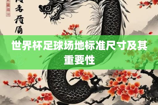 世界杯足球场地标准尺寸及其重要性