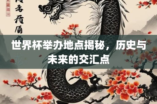 世界杯举办地点揭秘，历史与未来的交汇点