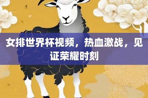 女排世界杯视频，热血激战，见证荣耀时刻