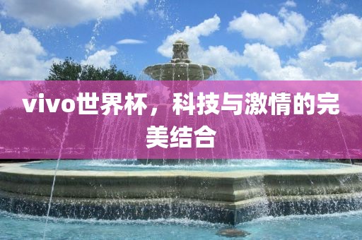 vivo世界杯，科技与激情的完美结合