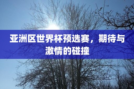 亚洲区世界杯预选赛，期待与激情的碰撞