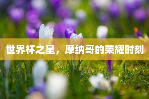 世界杯之星，摩纳哥的荣耀时刻