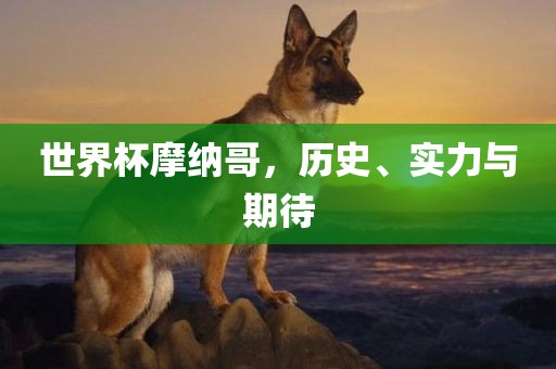 世界杯摩纳哥，历史、实力与期待